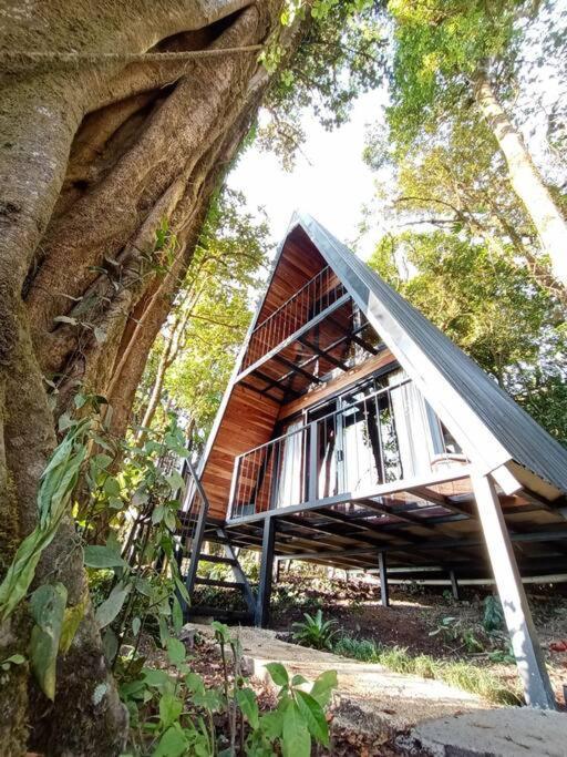 Villa Casa Del Arbol Monteverde Exterior foto